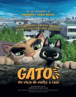 Gatos: Un viaje de vuelta a casa