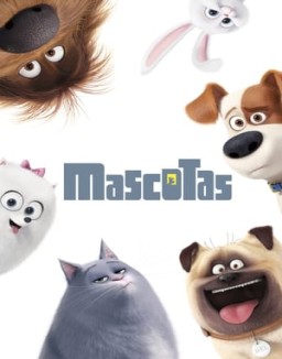 Mascotas