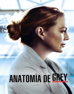 Anatomía de Grey