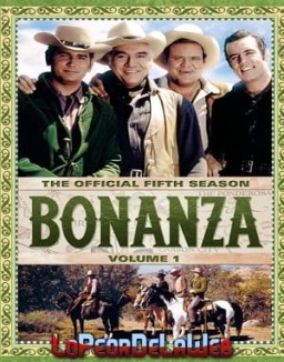 Bonanza