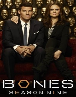 Bones