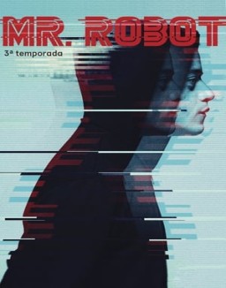 Mr. Robot